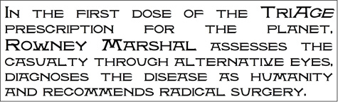 TRIAGE1.jpg
