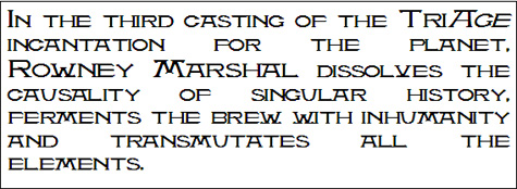 TRIAGE111.jpg